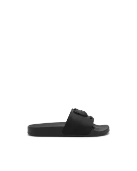 Teddy Bear Slides